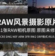 世界杯女足德国瑞典-德国女足与瑞典女足，世界杯赛场上的巾帼对决