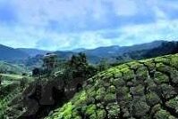 五百彩票足球比分-五百彩票足球比分，洞察绿茵风云，解锁赛事密码