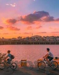 足球即时比分 捷报比分-从足球即时比分到捷报比分，数字时代足球观赛体验的革命性进化